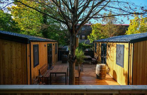 Racoon - Außergewöhnliches Tinyhauserlebnis beim Reptilienzoo Reptilium - Foto 38