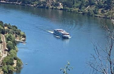 casa Pinto Douro country - Foto 6