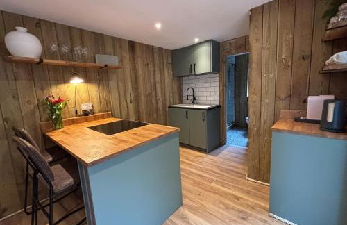 Cornish wooden cabin & wood fired hot tub - Foto 5