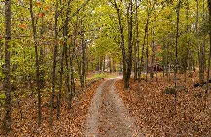 Tree House Rental Ideal for a Unique Getaway near Lake Sunapee in New Hampshire - Foto 20