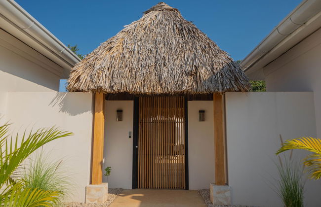 Villas VR Beachwalk Avellanas - Foto 62