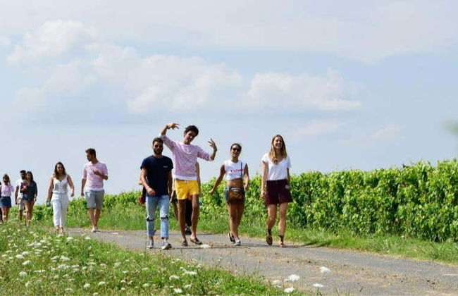 Visita a un vigneto di Saumur - Foto 1