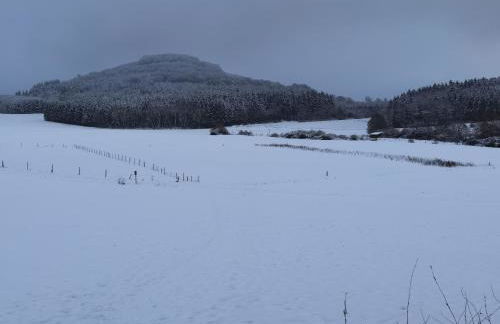 Ferienhaus Waldblick - Photo 52