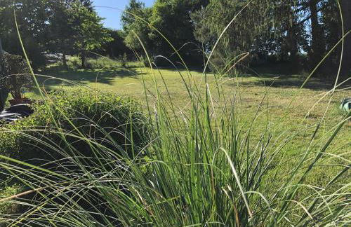 Apartment am Hutberg - Foto 9