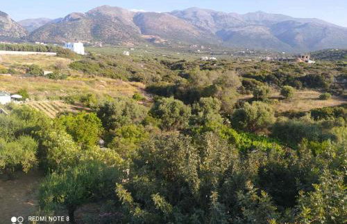 Cuckoo's nest - Photo 10