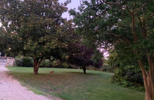 L’océan 20 - Foto 29