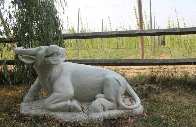 Hopyard View Farm - A Farm Experience in Ashland - Foto 20