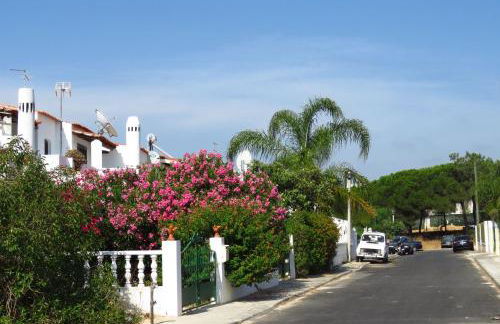 Casa das Flores - Foto 29