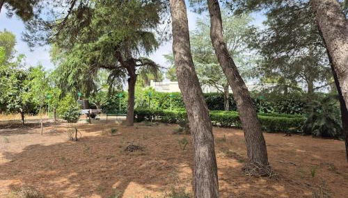 Villa Magnolia - Foto 5, Garden