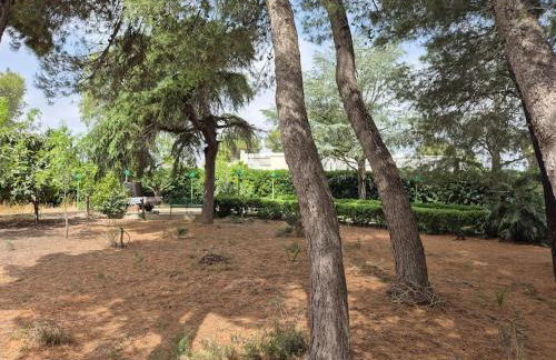 Villa Magnolia - Foto 5