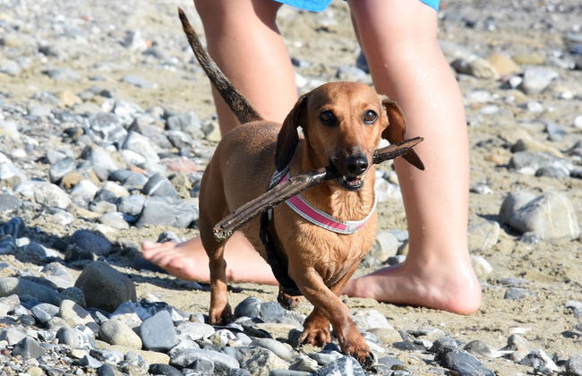 Resort Baia del Silenzio - Foto 77