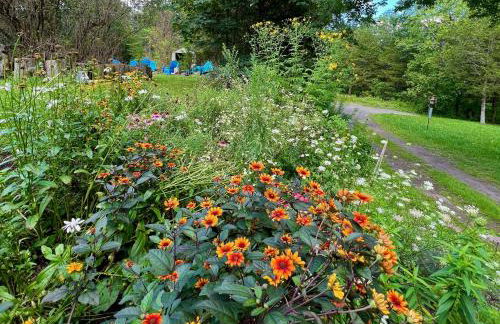 1890 CapeCod farmhouse:Charming, Private, Spacious - Photo 43