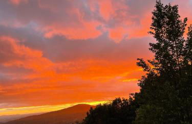 Villa Gosparini - Photo 33