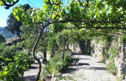 Quinta do Mirante - Foto 75