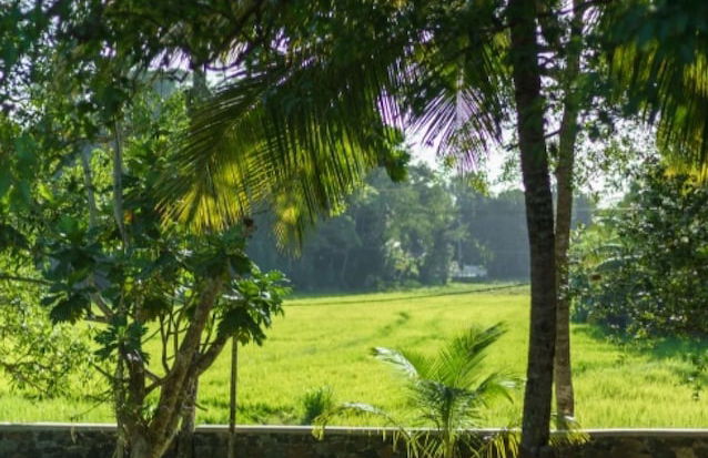 Dutch Colonial Period Villa In Contemporary Style - Foto 52