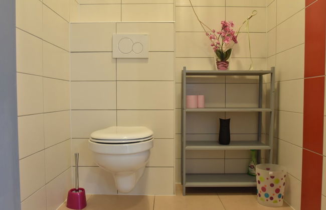 Elegant Holiday Home in Saint Louis With Garden - Foto 55