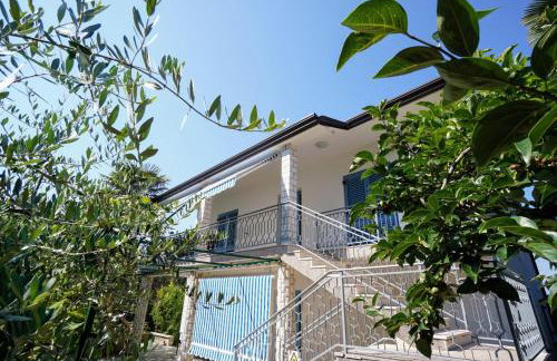 Apartment Nino Savudrija - Foto 1