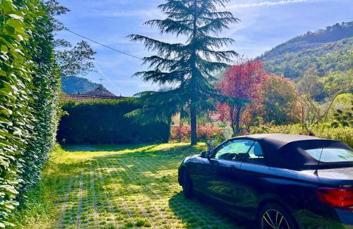 House of artist - Foto 59