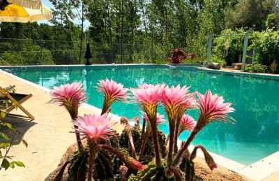 Casa Rural Palaz Cinco - Foto 30