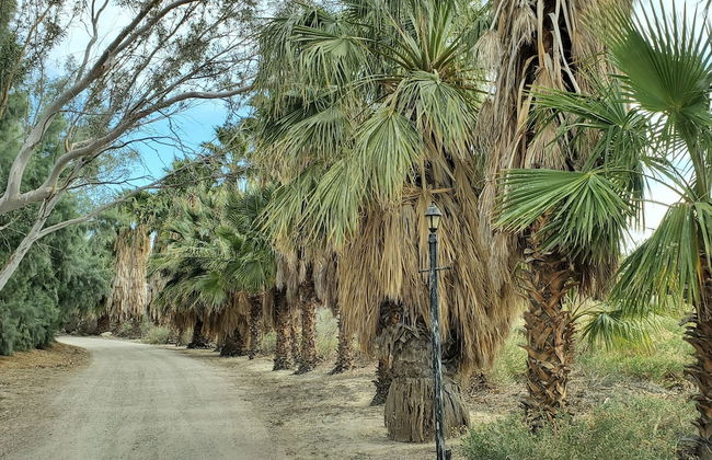 Bubbling Wells Oasis - Foto 35