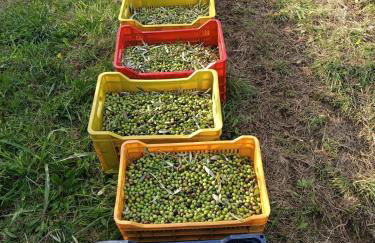 Garden Relax - Foto 8