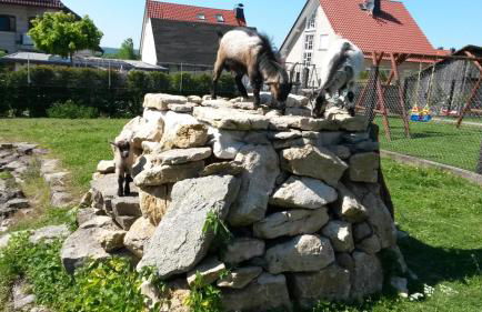 Home&Classic Erlebnisscheune - Photo 40