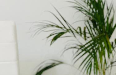 Dear John - Photo 14