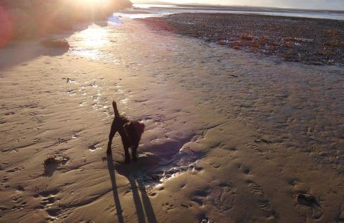 Sea View Cottage Lake District Coast, Haverigg - Foto 34
