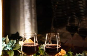 Vale Encantado Alfredo Wagner - Photo 46