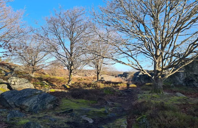 4 Person Holiday Home in Kyrkesund-by Traum - Foto 19