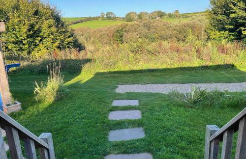 Pembrokeshire Shepherd hut with hottub - Foto 17