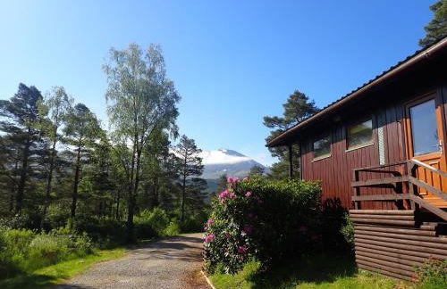 Equinox Cabin - Photo 26