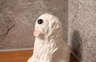 Saféra Dewsbury Westpark - Foto 23