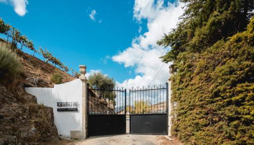 Quinta São Luiz The Vine House Douro - Foto 3