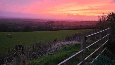 Meadow View - Foto 4