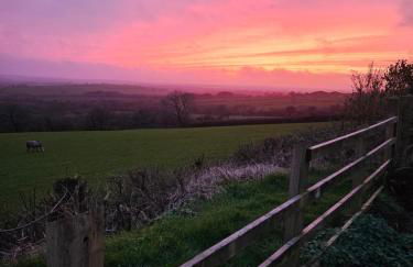 Meadow View - Foto 4