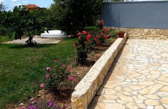 Bicho House - Foto 3