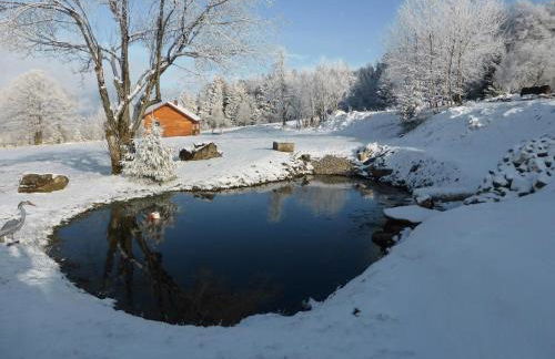 Wild Life Ranch - Foto 38