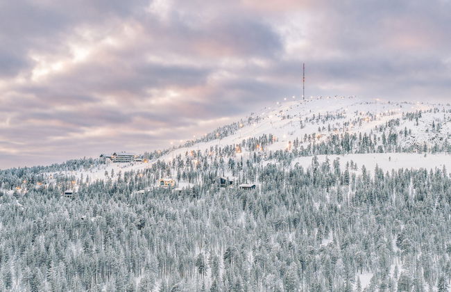 Kultahippu - Photo 28