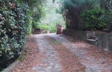 Bilocale a due passi dal mare immerso nel verde - Foto 17