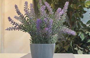 apartamentos Bandera - Foto 22