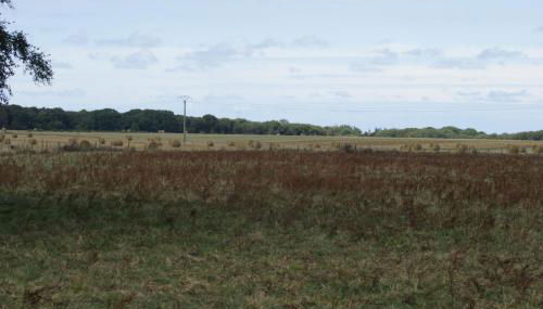 Le Tiot Gîte - Foto 3