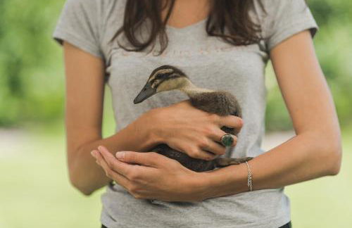 Untermairhof - Foto 17