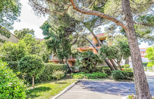 Les Amphores - Foto 5