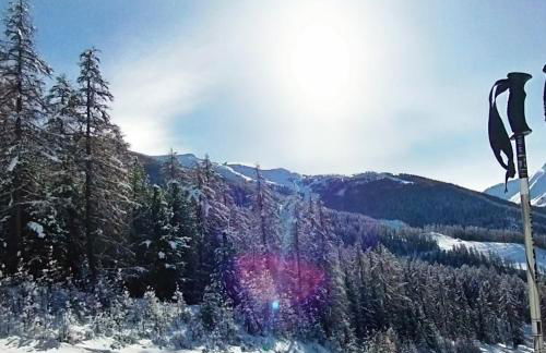 Résidence le chalet des orres - Photo 14