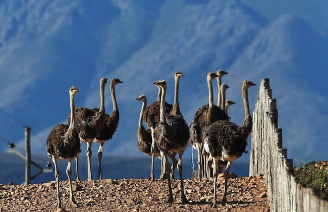 Berluda Farmhouse & Cottages - Photo 55