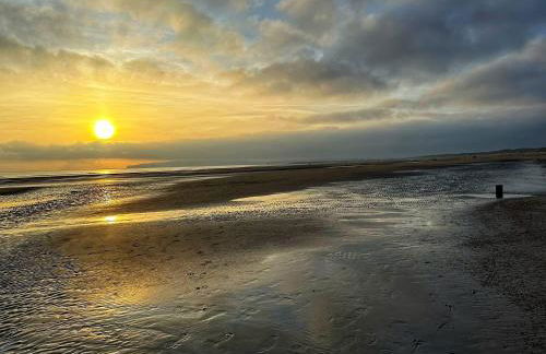 Rock Lobster - Foto 30