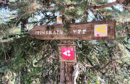 Ski et Détente Les Orres 1650 Animaux OK - Photo 63