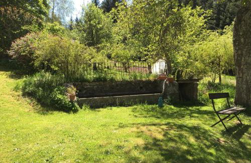 GITE LES MYOSOTIS - Foto 15