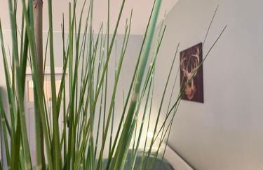 Appartement Königshütte - Foto 7